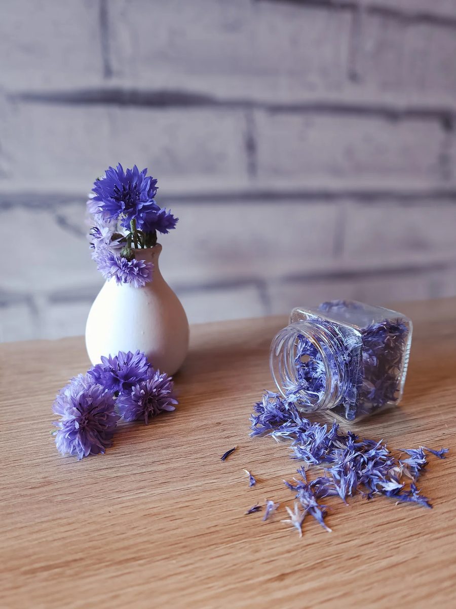 矢车菊花瓣-单色