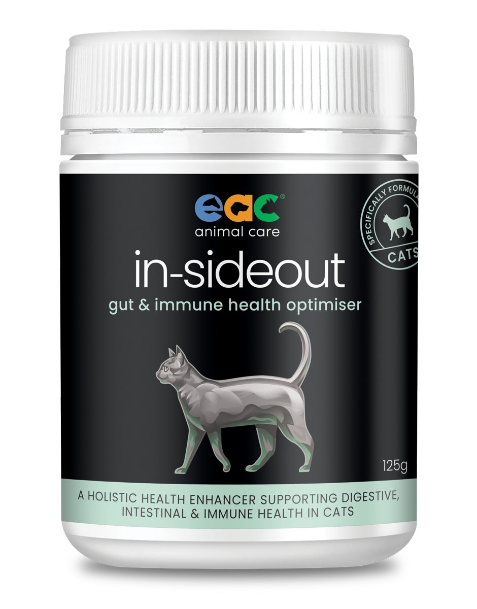 猫用In-Sideout 益生元和益生菌 营养补充剂