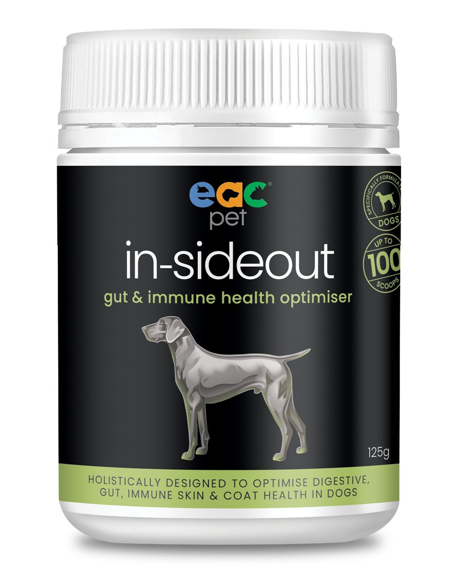 犬用In-Sideout 益生元和益生菌 营养补充剂