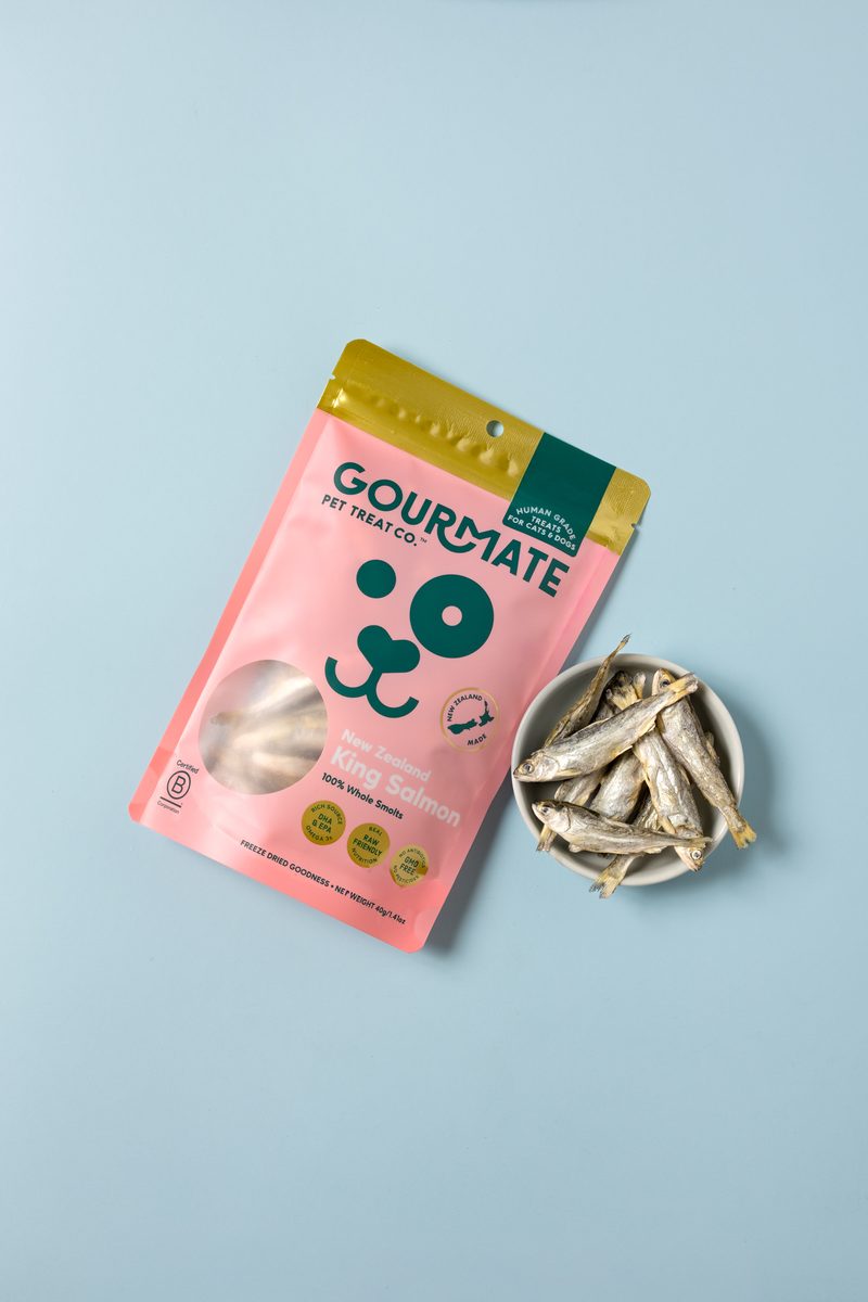 新西兰帝王鲑幼鱼